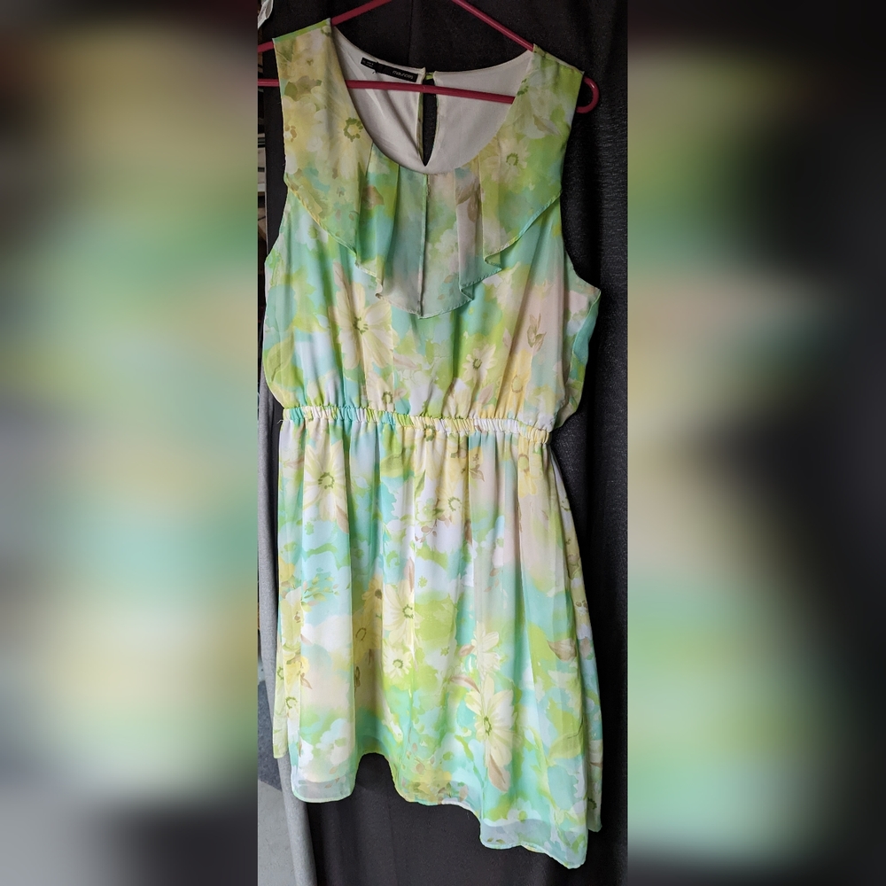 Maurices 2x green floral sun dress